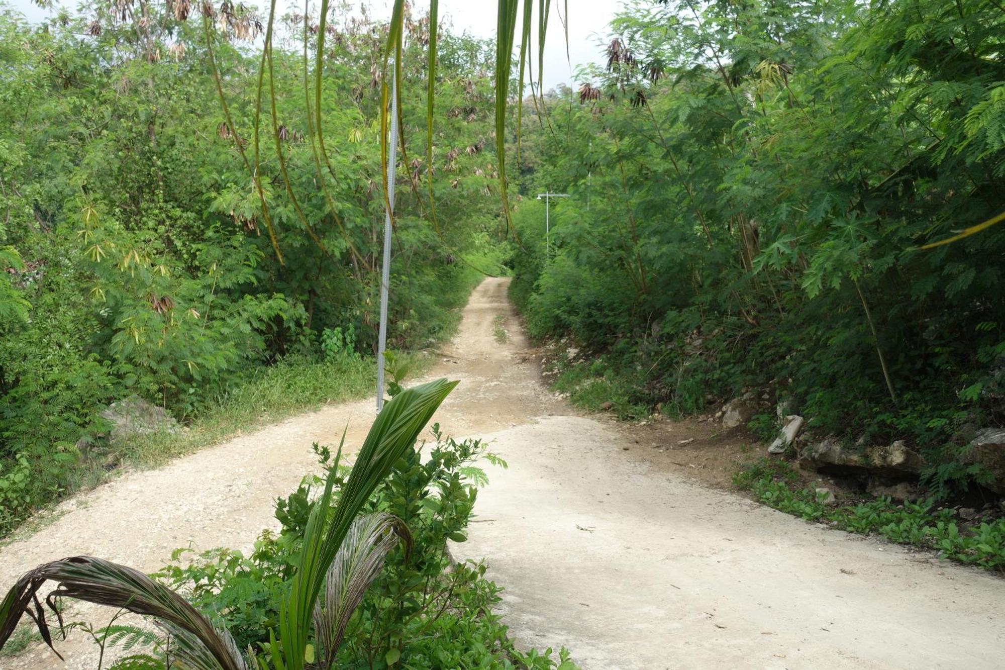 Tarsan Homestay Labuan Bajo Exterior foto